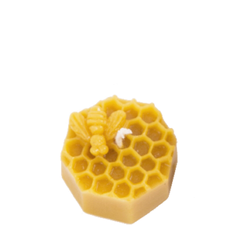 Bee on the Honeycomb
