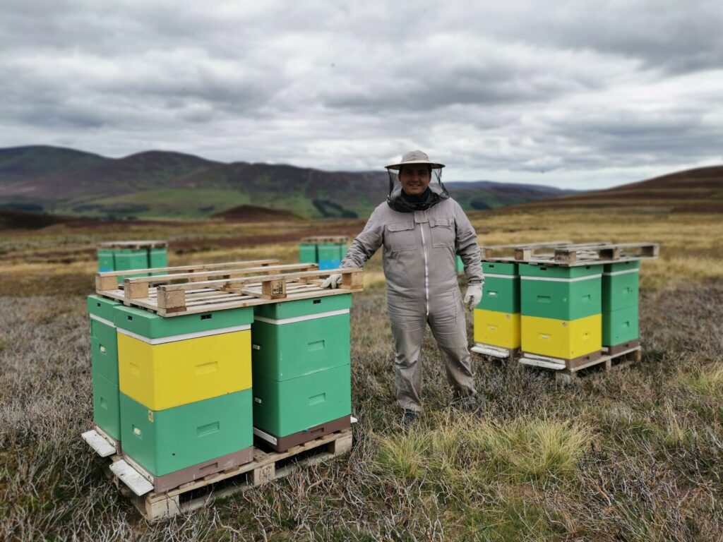 Arbuckles beekeeper with hives on the heather Arbuckles Farm Shop An arbuckles beekeeper standing beside hives on the heather moor